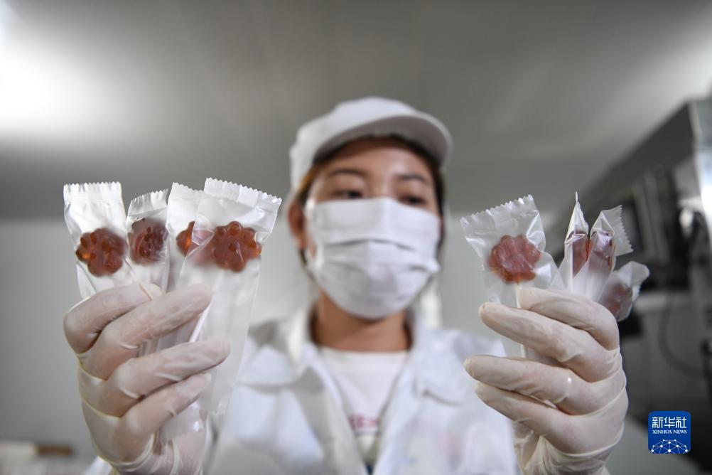 188宝金博备用网址